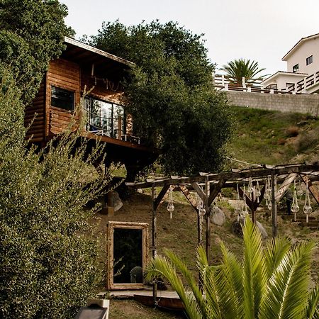 BoskenVid Hotel Boutique Valle de Guadalupe Buitenkant foto