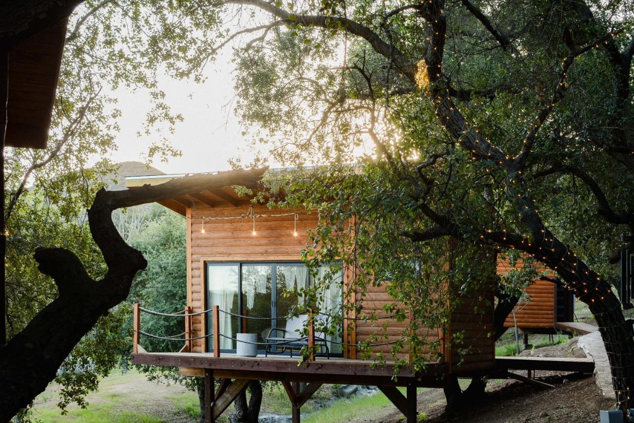 BoskenVid Hotel Boutique Valle de Guadalupe Buitenkant foto