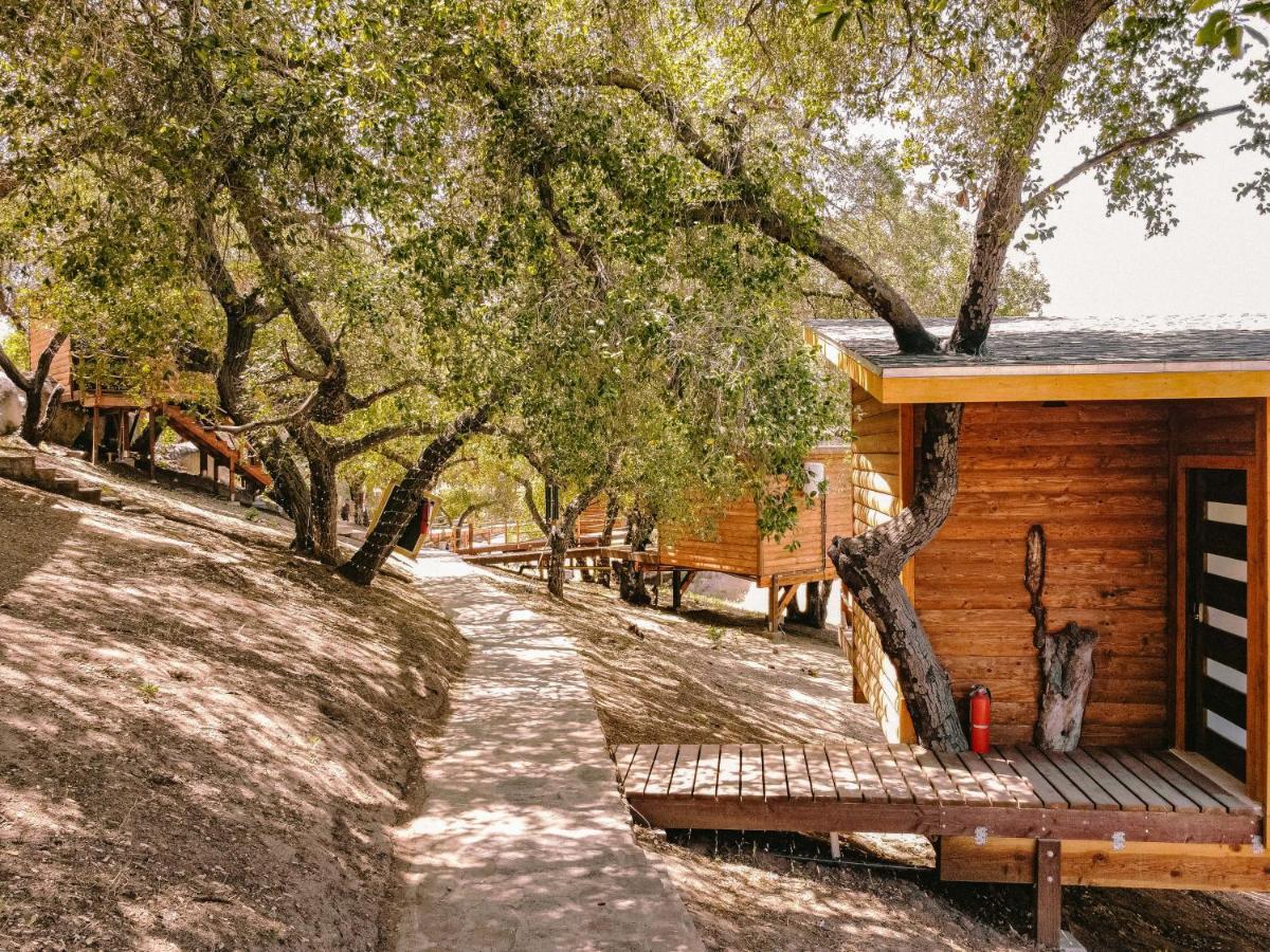 BoskenVid Hotel Boutique Valle de Guadalupe Buitenkant foto