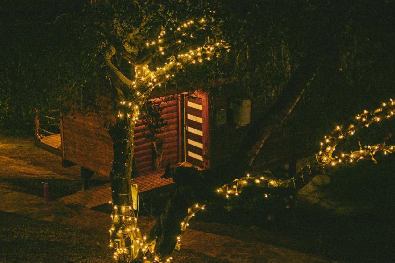 BoskenVid Hotel Boutique Valle de Guadalupe Buitenkant foto