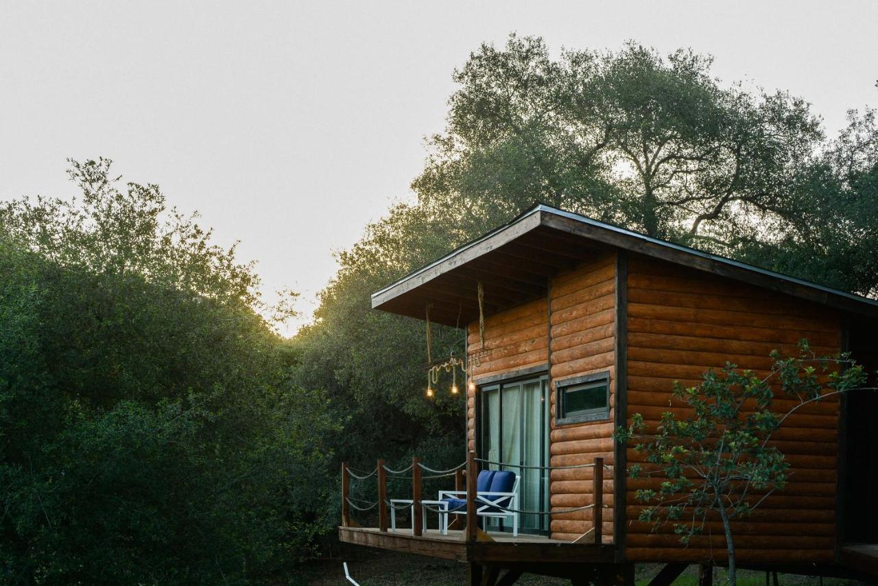 BoskenVid Hotel Boutique Valle de Guadalupe Buitenkant foto