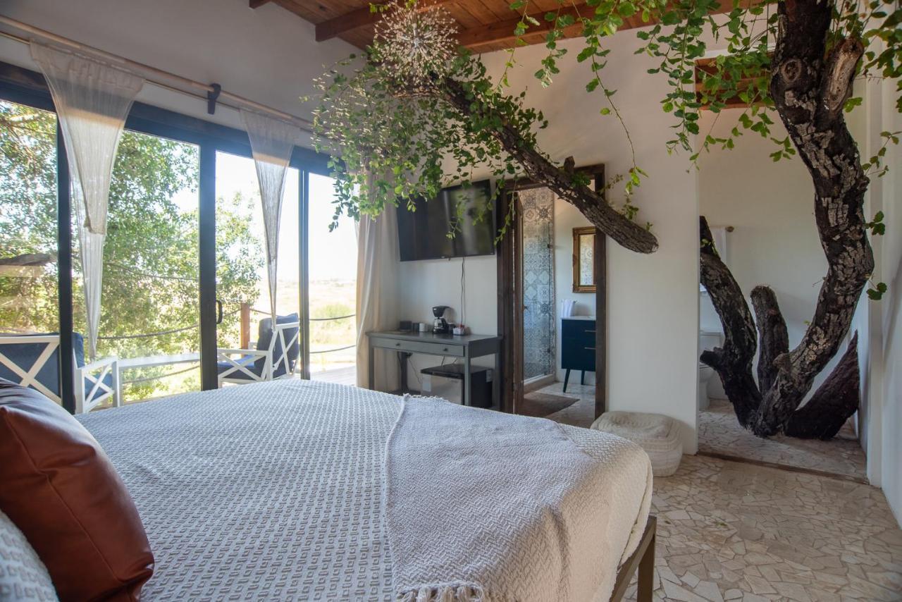 BoskenVid Hotel Boutique Valle de Guadalupe Buitenkant foto